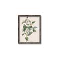 Picture of Swaying Foliage IV _GroupedProduct_Rectangle_Portrait_Canvas_Framed_