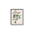 Picture of Swaying Foliage IV _GroupedProduct_Rectangle_Portrait_Canvas_Framed_