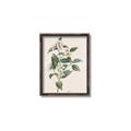 Picture of Swaying Foliage IV _GroupedProduct_Rectangle_Portrait_Canvas_Framed_