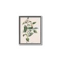 Picture of Swaying Foliage IV _GroupedProduct_Rectangle_Portrait_Canvas_Framed_