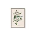 Picture of Swaying Foliage IV _GroupedProduct_Rectangle_Portrait_Canvas_Framed_