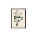 Picture of Swaying Foliage IV _GroupedProduct_Rectangle_Portrait_Canvas_Framed_