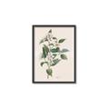 Picture of Swaying Foliage IV _GroupedProduct_Rectangle_Portrait_Canvas_Framed_