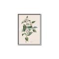 Picture of Swaying Foliage IV _GroupedProduct_Rectangle_Portrait_Canvas_Framed_