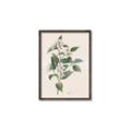Picture of Swaying Foliage IV _GroupedProduct_Rectangle_Portrait_Canvas_Framed_