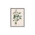 Picture of Swaying Foliage IV _GroupedProduct_Rectangle_Portrait_Canvas_Framed_