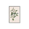 Picture of Swaying Foliage IV _GroupedProduct_Rectangle_Portrait_Canvas_Framed_