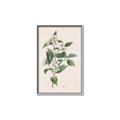 Picture of Swaying Foliage IV _GroupedProduct_Rectangle_Portrait_Canvas_Framed_