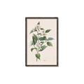 Picture of Swaying Foliage IV _GroupedProduct_Rectangle_Portrait_Canvas_Framed_