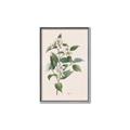 Picture of Swaying Foliage IV _GroupedProduct_Rectangle_Portrait_Canvas_Framed_