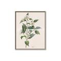 Picture of Swaying Foliage IV _GroupedProduct_Rectangle_Portrait_Canvas_Framed_