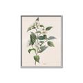 Picture of Swaying Foliage IV _GroupedProduct_Rectangle_Portrait_Canvas_Framed_