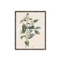 Picture of Swaying Foliage IV _GroupedProduct_Rectangle_Portrait_Canvas_Framed_