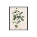 Picture of Swaying Foliage IV _GroupedProduct_Rectangle_Portrait_Canvas_Framed_
