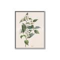 Picture of Swaying Foliage IV _GroupedProduct_Rectangle_Portrait_Canvas_Framed_