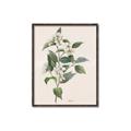 Picture of Swaying Foliage IV _GroupedProduct_Rectangle_Portrait_Canvas_Framed_