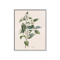 Picture of Swaying Foliage IV _GroupedProduct_Rectangle_Portrait_Canvas_Framed_