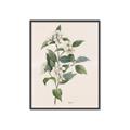 Picture of Swaying Foliage IV _GroupedProduct_Rectangle_Portrait_Canvas_Framed_
