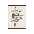 Picture of Swaying Foliage IV _GroupedProduct_Rectangle_Portrait_Canvas_Framed_