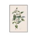 Picture of Swaying Foliage IV _GroupedProduct_Rectangle_Portrait_Canvas_Framed_