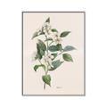 Picture of Swaying Foliage IV _GroupedProduct_Rectangle_Portrait_Canvas_Framed_