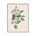 Picture of Swaying Foliage IV _GroupedProduct_Rectangle_Portrait_Canvas_Framed_