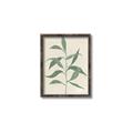 Picture of Swaying Foliage V _GroupedProduct_Rectangle_Portrait_Canvas_Framed_