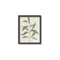 Picture of Swaying Foliage V _GroupedProduct_Rectangle_Portrait_Canvas_Framed_