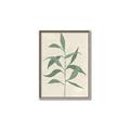 Picture of Swaying Foliage V _GroupedProduct_Rectangle_Portrait_Canvas_Framed_