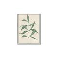 Picture of Swaying Foliage V _GroupedProduct_Rectangle_Portrait_Canvas_Framed_