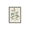 Picture of Swaying Foliage V _GroupedProduct_Rectangle_Portrait_Canvas_Framed_