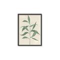 Picture of Swaying Foliage V _GroupedProduct_Rectangle_Portrait_Canvas_Framed_