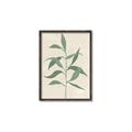 Picture of Swaying Foliage V _GroupedProduct_Rectangle_Portrait_Canvas_Framed_
