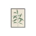 Picture of Swaying Foliage V _GroupedProduct_Rectangle_Portrait_Canvas_Framed_