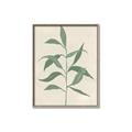 Picture of Swaying Foliage V _GroupedProduct_Rectangle_Portrait_Canvas_Framed_