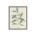 Picture of Swaying Foliage V _GroupedProduct_Rectangle_Portrait_Canvas_Framed_