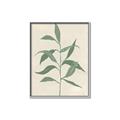 Picture of Swaying Foliage V _GroupedProduct_Rectangle_Portrait_Canvas_Framed_