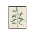Picture of Swaying Foliage V _GroupedProduct_Rectangle_Portrait_Canvas_Framed_