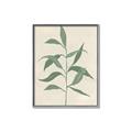 Picture of Swaying Foliage V _GroupedProduct_Rectangle_Portrait_Canvas_Framed_