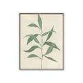 Picture of Swaying Foliage V _GroupedProduct_Rectangle_Portrait_Canvas_Framed_