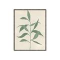 Picture of Swaying Foliage V _GroupedProduct_Rectangle_Portrait_Canvas_Framed_