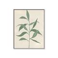 Picture of Swaying Foliage V _GroupedProduct_Rectangle_Portrait_Canvas_Framed_