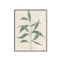 Picture of Swaying Foliage V _GroupedProduct_Rectangle_Portrait_Canvas_Framed_