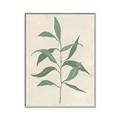 Picture of Swaying Foliage V _GroupedProduct_Rectangle_Portrait_Canvas_Framed_