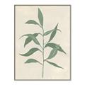 Picture of Swaying Foliage V _GroupedProduct_Rectangle_Portrait_Canvas_Framed_