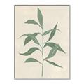 Picture of Swaying Foliage V _GroupedProduct_Rectangle_Portrait_Canvas_Framed_