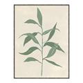 Picture of Swaying Foliage V _GroupedProduct_Rectangle_Portrait_Canvas_Framed_