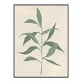 Picture of Swaying Foliage V _GroupedProduct_Rectangle_Portrait_Canvas_Framed_
