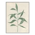 Picture of Swaying Foliage V _GroupedProduct_Rectangle_Portrait_Canvas_Framed_