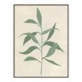 Picture of Swaying Foliage V _GroupedProduct_Rectangle_Portrait_Canvas_Framed_